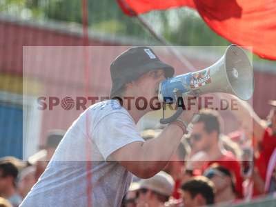 Bild-ID: 2170471