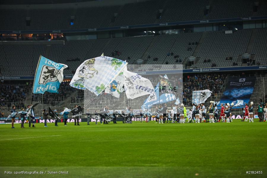 Fahnen, Allianz Arena, 17.03.2017, Fussball, 2. Bundesliga, FC Würzburger Kickers, TSV 1860 München - Bild-ID: 2182453