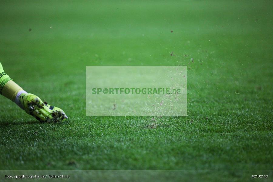 Rasen, Allianz Arena, 17.03.2017, Fussball, 2. Bundesliga, FC Würzburger Kickers, TSV 1860 München - Bild-ID: 2182510