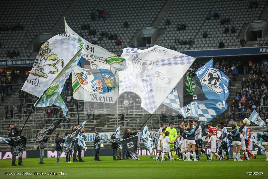 Fahnen, Allianz Arena, 17.03.2017, Fussball, 2. Bundesliga, FC Würzburger Kickers, TSV 1860 München - Bild-ID: 2182539