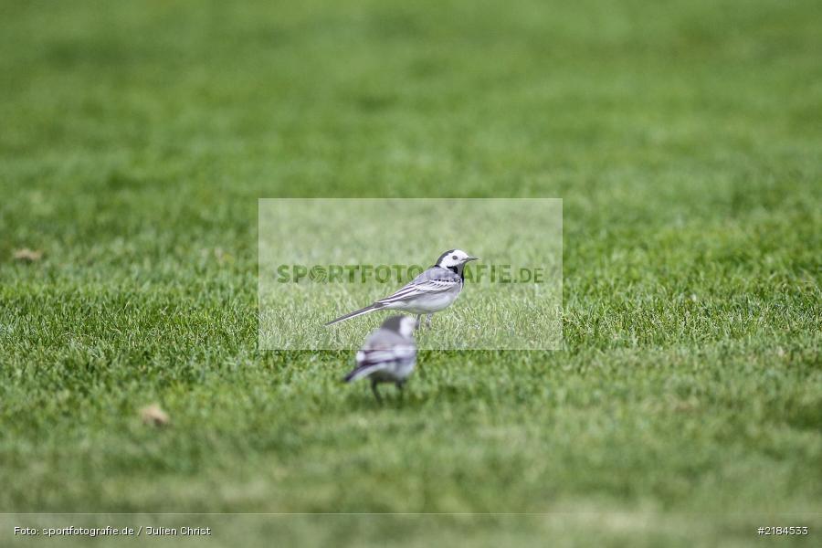 Symbolbild, 15.04.2017, Kreisliga Würzburg, FC Wiesenfeld-Halsbach, TSV Retzbach - Bild-ID: 2184533