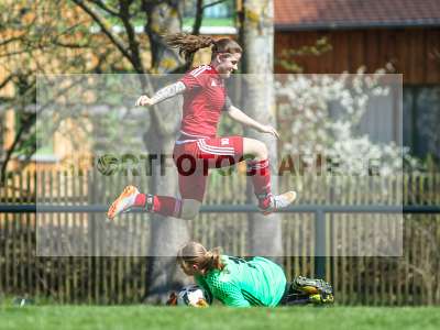 Bild-ID: 2184042