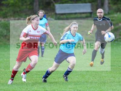 Bild-ID: 2184987