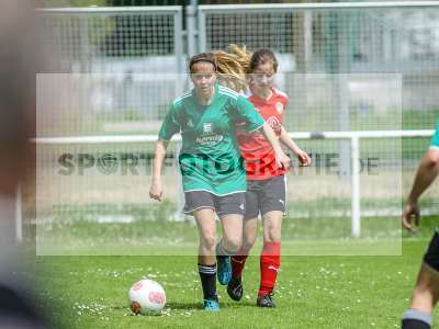 Bild-ID: 2185016