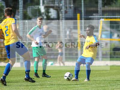 Bild-ID: 2193047