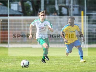 Bild-ID: 2193054