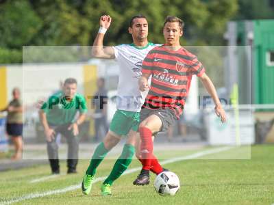 Bild-ID: 2193108