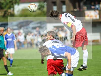 Bild-ID: 2201454