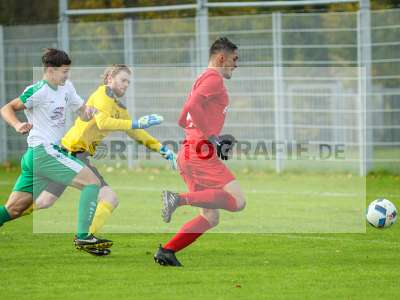 Bild-ID: 2203276