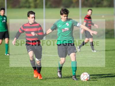 Bild-ID: 2203398