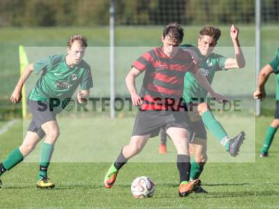 Bild-ID: 2203408