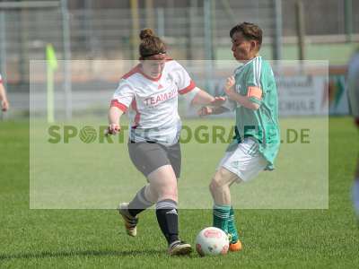 Bild-ID: 2211267