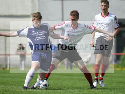 Bild-ID: 2211393