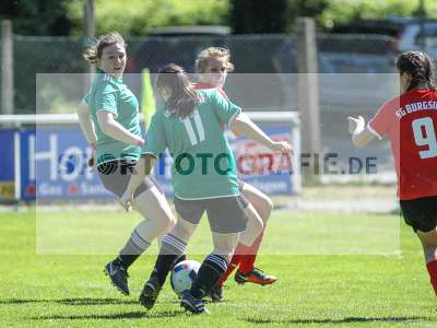 Bild-ID: 2214043