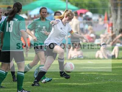 Bild-ID: 2214792
