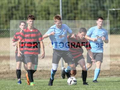 Bild-ID: 2225671