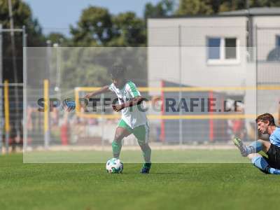 Bild-ID: 2225758