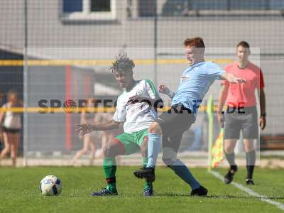 Bild-ID: 2225803