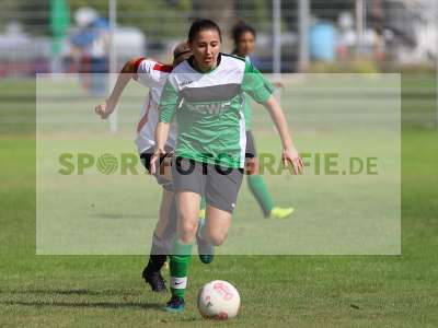 Bild-ID: 2229709