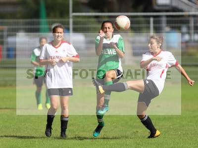 Bild-ID: 2229710