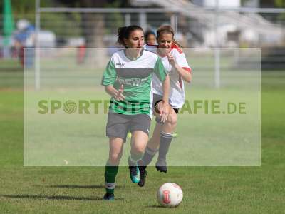Bild-ID: 2229711
