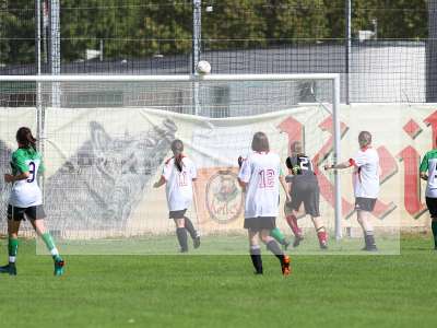 Bild-ID: 2229726