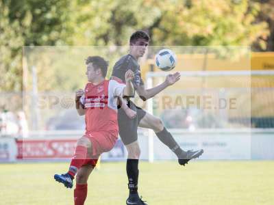 Bild-ID: 2233008