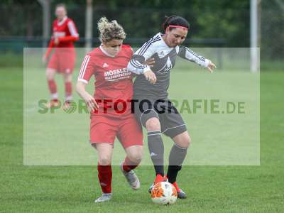 Bild-ID: 2238883