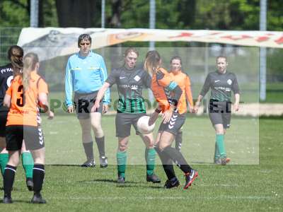 Bild-ID: 2239420