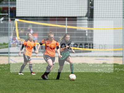 Bild-ID: 2239427