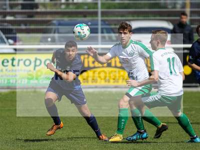Bild-ID: 2239447