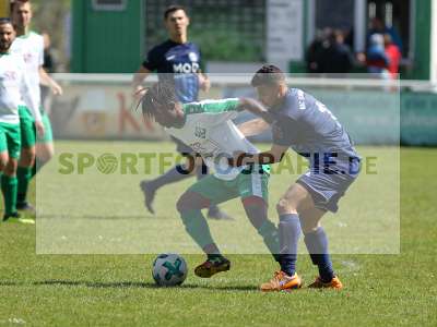 Bild-ID: 2239473