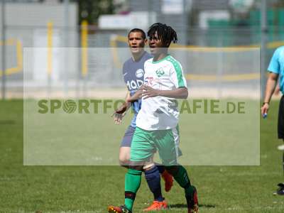 Bild-ID: 2239488