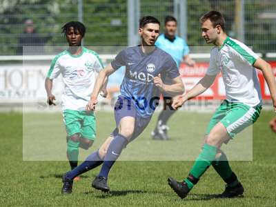Bild-ID: 2239494
