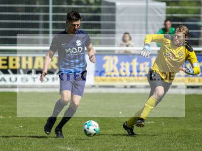 Bild-ID: 2239516