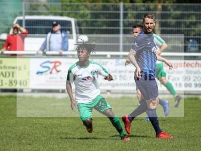 Bild-ID: 2239535