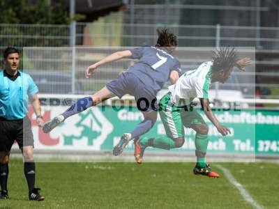 Bild-ID: 2239538