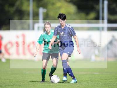Bild-ID: 2259015