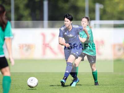 Bild-ID: 2259016