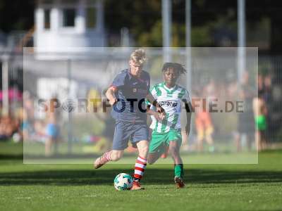 Bild-ID: 2259083