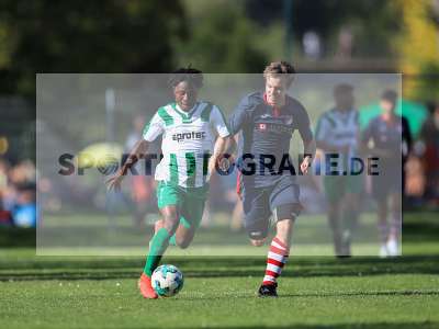 Bild-ID: 2259116