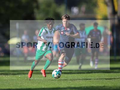 Bild-ID: 2259117