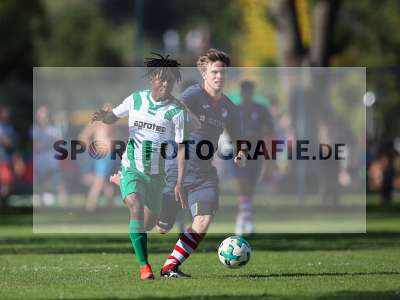 Bild-ID: 2259118