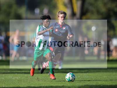 Bild-ID: 2259119