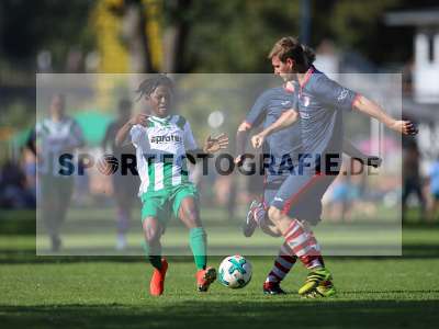 Bild-ID: 2259121