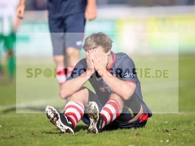 Bild-ID: 2259127