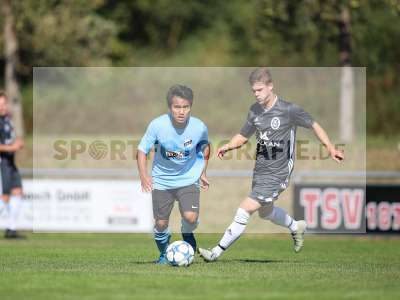 Bild-ID: 2259151