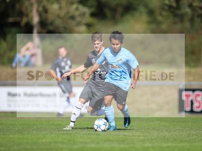 Bild-ID: 2259152