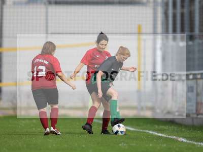 Bild-ID: 2262999