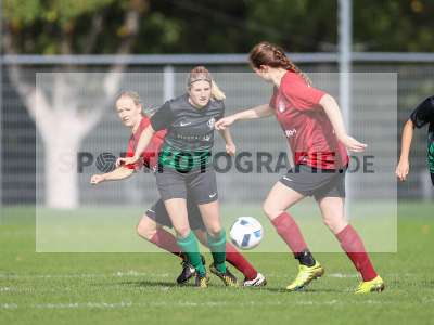 Bild-ID: 2263002
